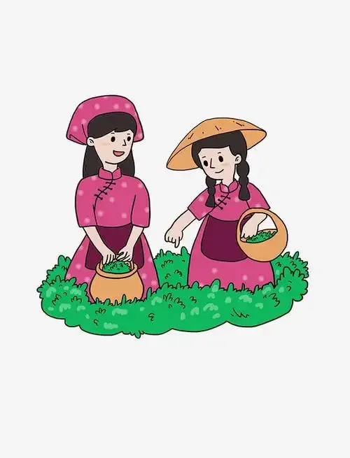 แผ่นกันกระแทกใต้ท้องรถ 3 ชิ้น ทำจากสแตนเลส สำหรับรถบังคับวิทยุ Trxs Trx-4 Bronco Defender G500 K5