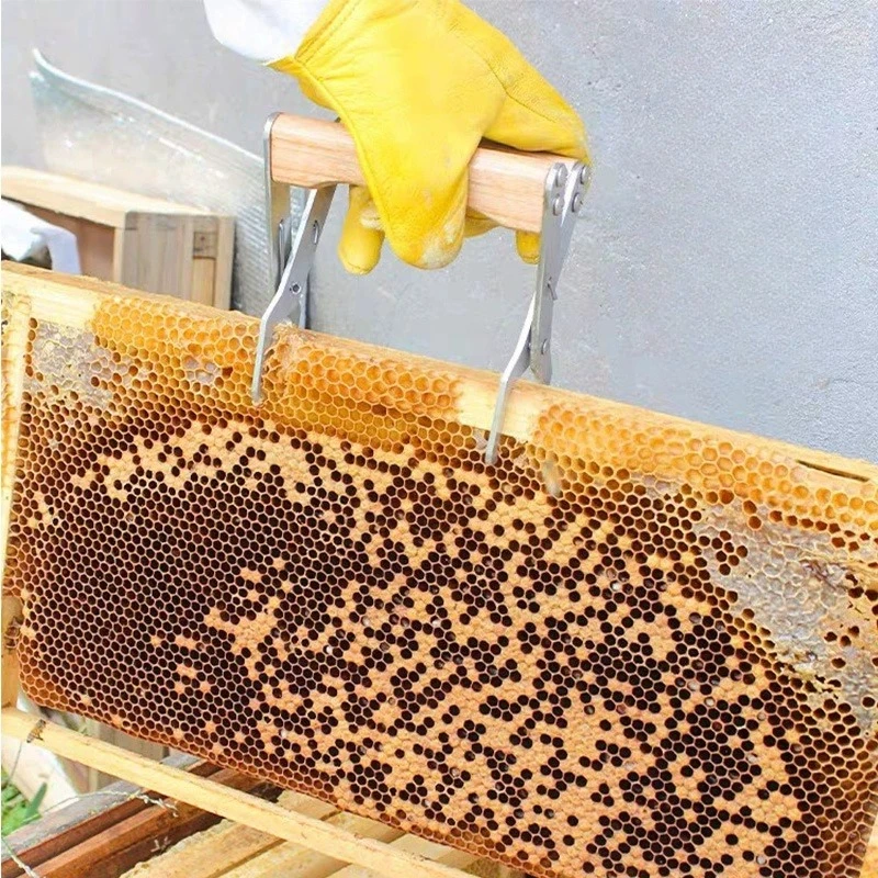 2026 New Bee Hive Frame Grip Holder Stainless Steel Capture Frame Grip Beehive Clip Clamp Grasp Beekeeping Accessories Tool