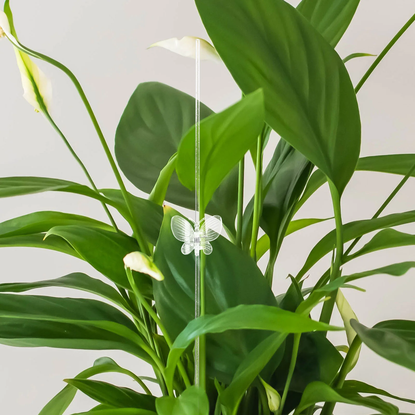 

1Set Transparent Acrylic Plant Support Stake Single Stem Garden Vine Scaffold Durable Stem Support Pole for Indoor Outdoor