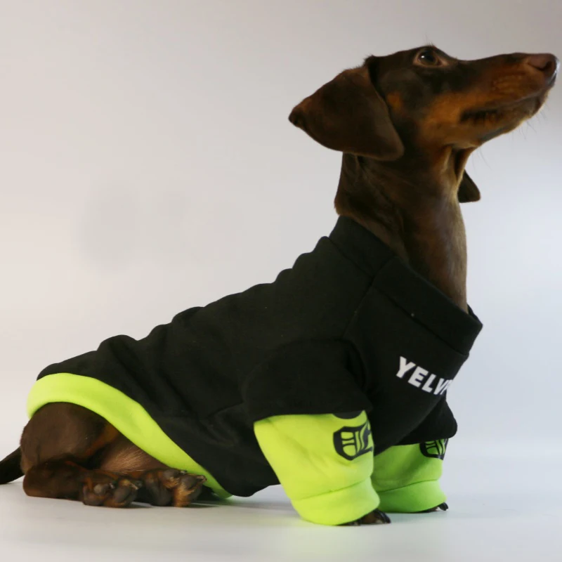 Mode Hund Kleidung Für Dackel Französisch Bulldogge Frühling Warme Haustier Kleidung Hund Jacke Mops Pullover Overall Für Samll Media Hunde – Detail 6
