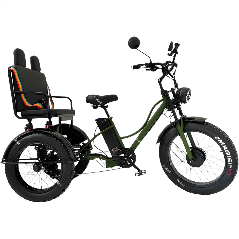 Fat Tire Electric Tricycle For Adults With Back Seat/Safe Belt 750W Powerful Mountain Snow Electric Bike Ebike With Phone Holder