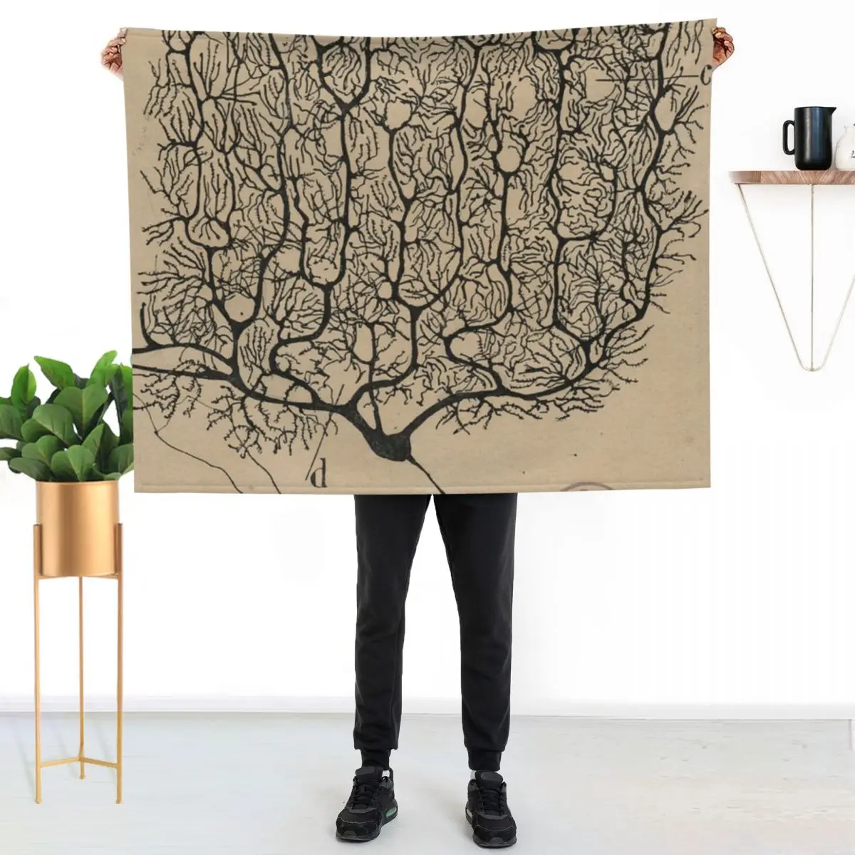 

Cajal's neurons sketch Throw Blanket Cozy Sofa Blanket for TV Watching Napping