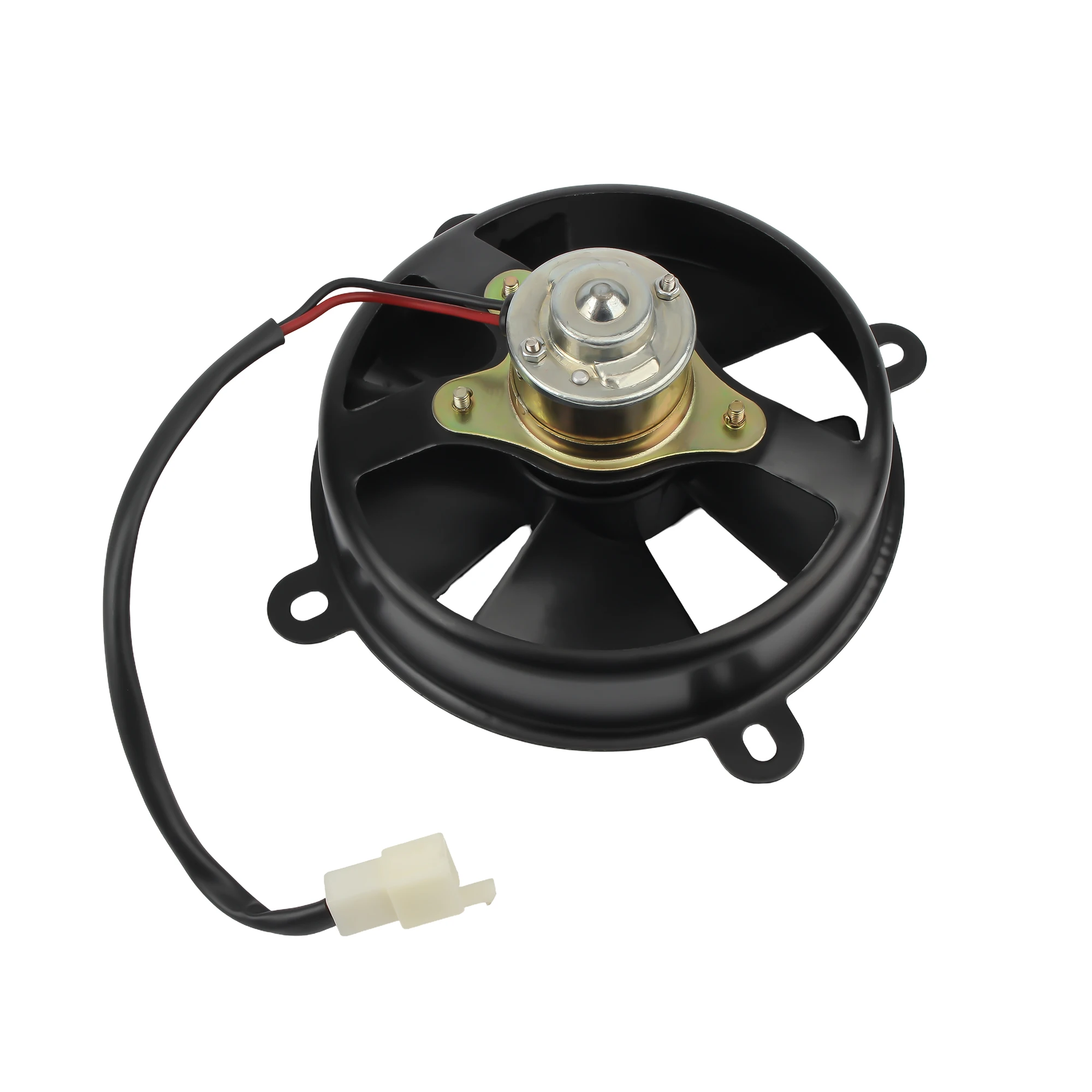 12V 6