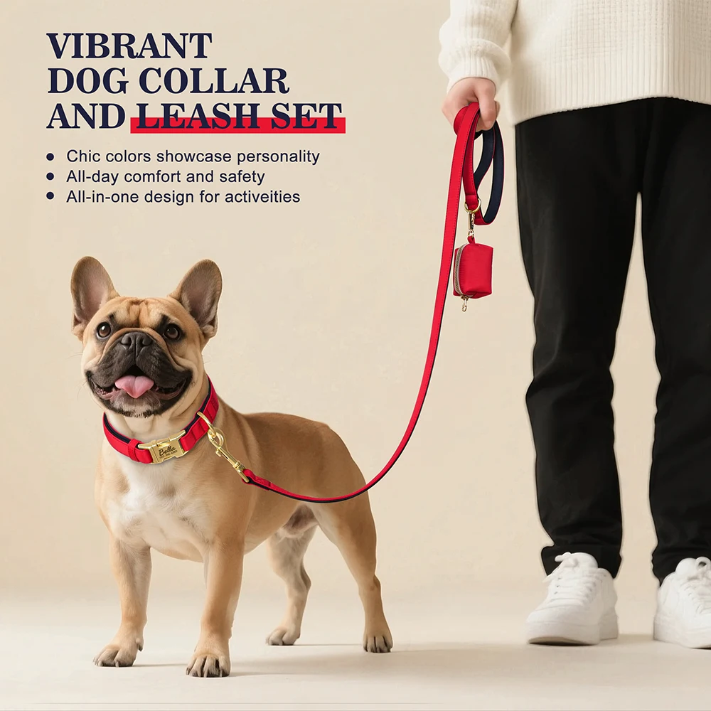 Personalized Dog Co… - image