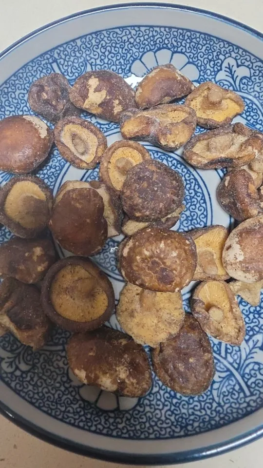 실물 포토 리뷰
