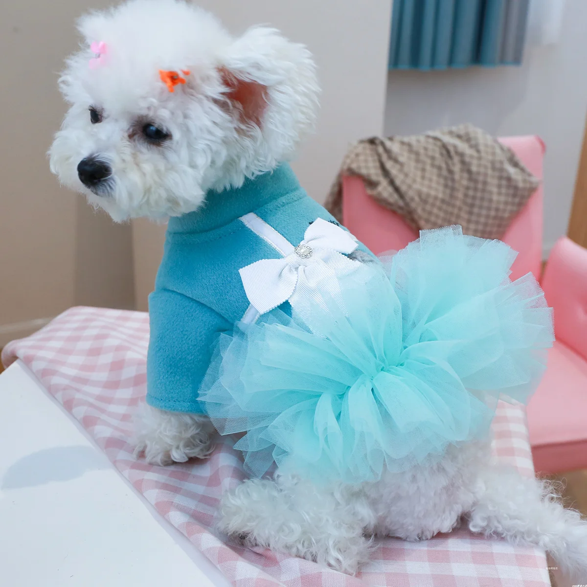 1PC Pet Apparel Dog Cat Autumn Winter Thickened Warm Blue Ladies Temperament Gift Box Bow Princess Dress For Small Medium Dogs