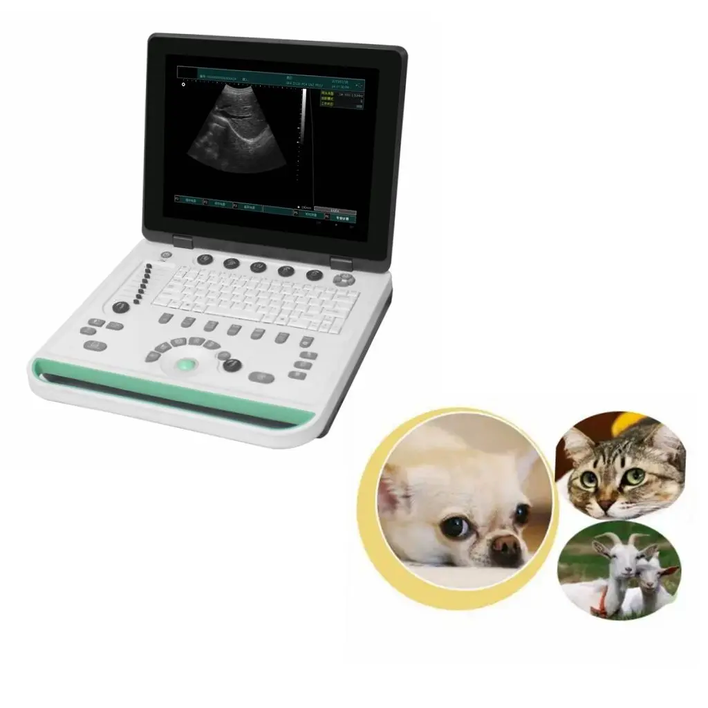 trolley-mounted Veterinary doppler ultrasound system for pets with real time viewing