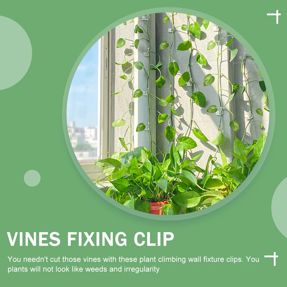 

10 Pcs Plant Fixing Clips Green Plants Indoor Garden Tools Wall Mount Transparent Clamps Vines Holder Wire Hook Durable Plastic