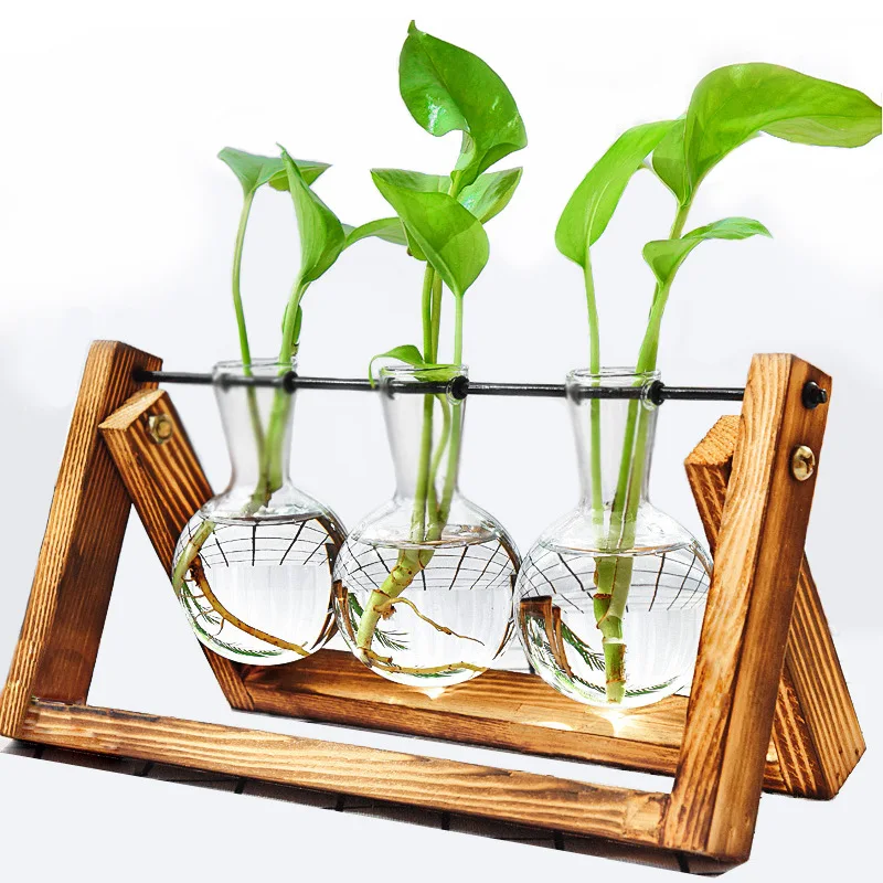 Bonsai Dekor Blumenvase Pflanze transparente Vase Holzrahmen Vase Dekoration Glas Tischplatte Pflanze Blume geformte Schüssel