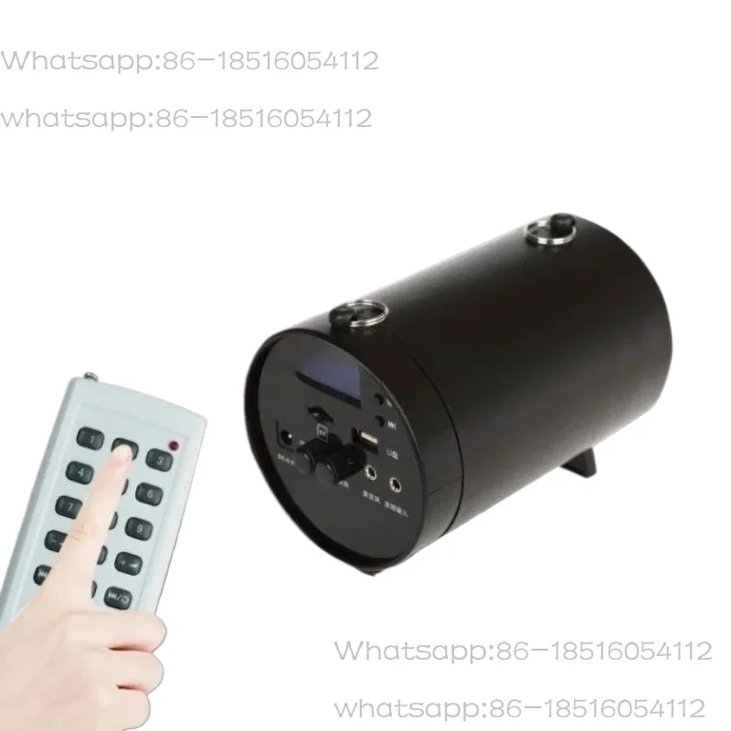AK38 Multi-function Amplifier Reverb Sound Play Music TF Card USB