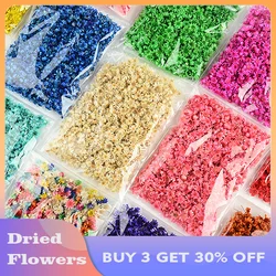 710PCS/Bag Mini Flores Real Natural Dried Flower Brazil Little Star Flower for Epoxy Resin Candle Making (BUY 3 GET 30% OFF)