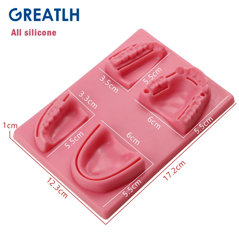 Oral Suture Module Oral/gum Suture Training Module Dental Oral/Gum Medical Skin Suture Pad Model Dental Tool