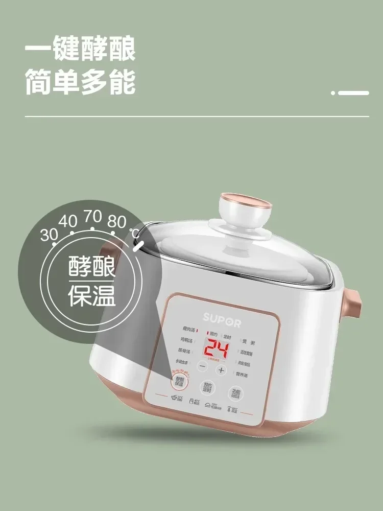 220V Multi-functional Slow Cooker with Ceramic Inner Pot and Water Separation Technology A