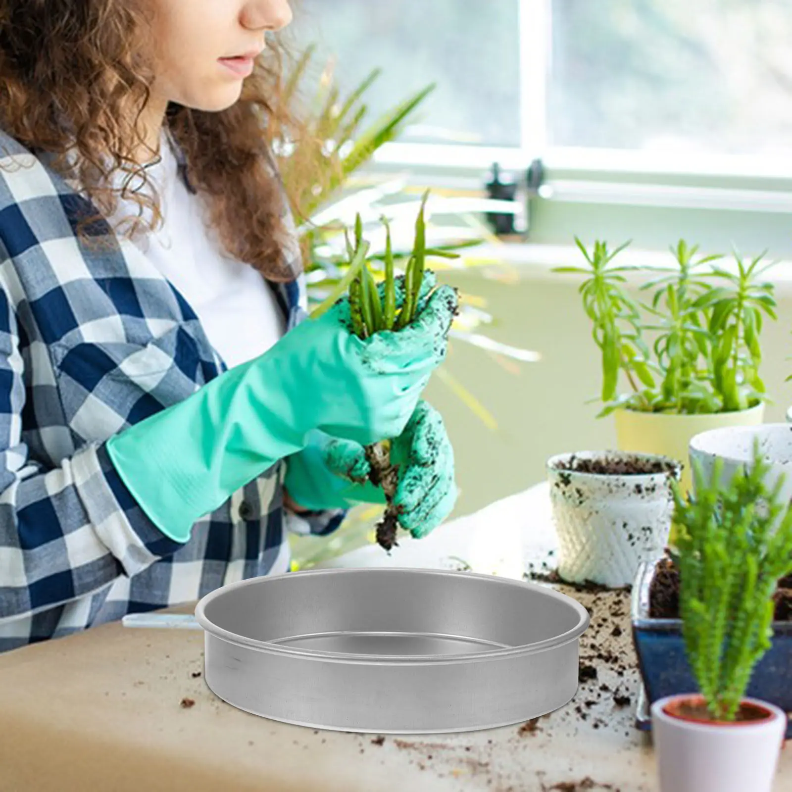 1Set Stainless Steel Germination Tray with Lid for Succulents Cacti Vegetables Indoor Outdoor Plant Growing Starter Nursery Tray