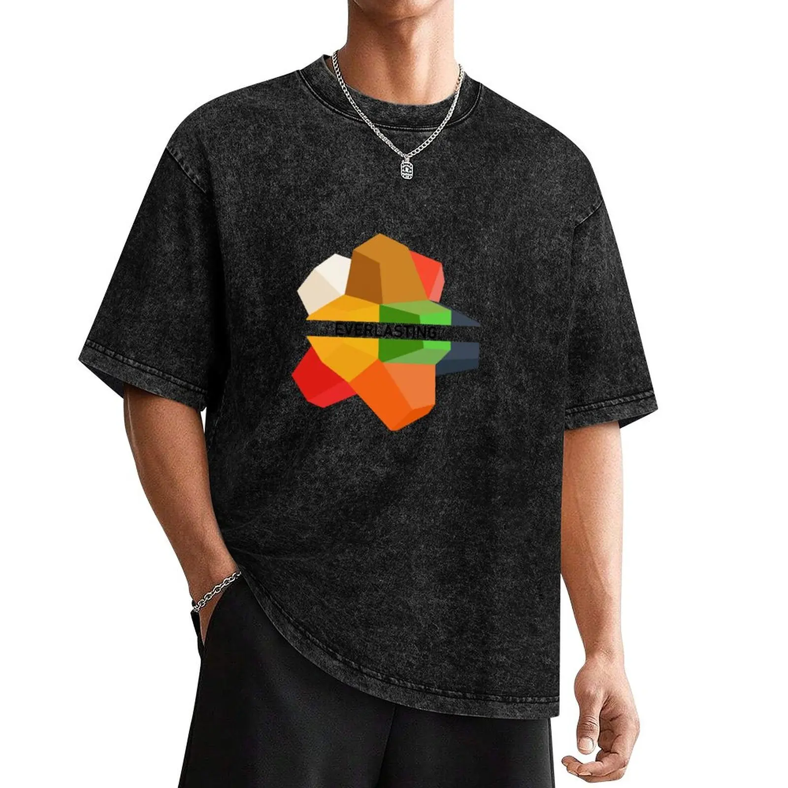 

EVERLASTING T-Shirt new edition Funny t-shirts street wear mens plain t shirts