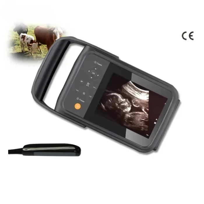 Handheld veterinarian b ultrasound vet ultrasound machine SUN-808F vet ultra sound for horses cows sheep pigs