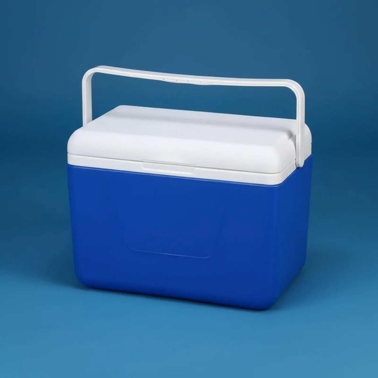 

Cold Chain Chiller Box Long-Lasting Insulation Insulated Transport Box Professional Grade Chiller Leakproof Design