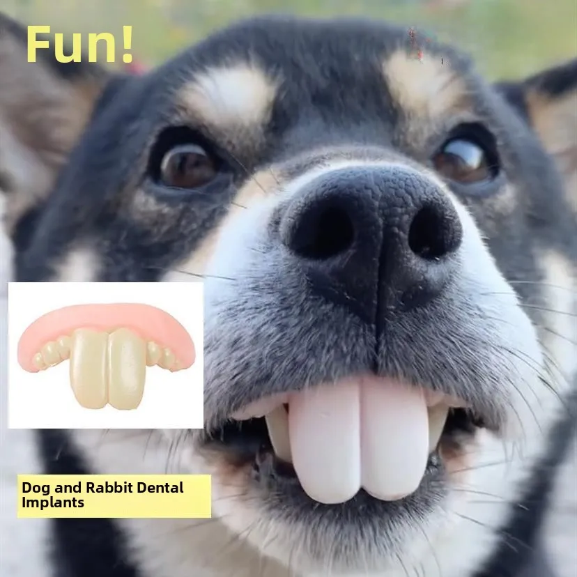 コミカルな歯ブラケットペットおもちゃ犬ウサギグラウンドホッグ大きな歯いたずら道具歯科器具偽歯パフォーマンスマジックショー用