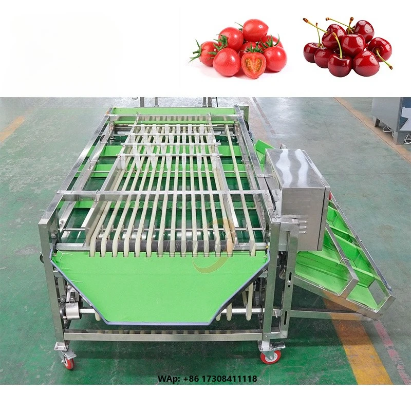 LONKIA Fresh Lemon Vegetable Fruit Size Sorting Machinery Grading Sorting Machine