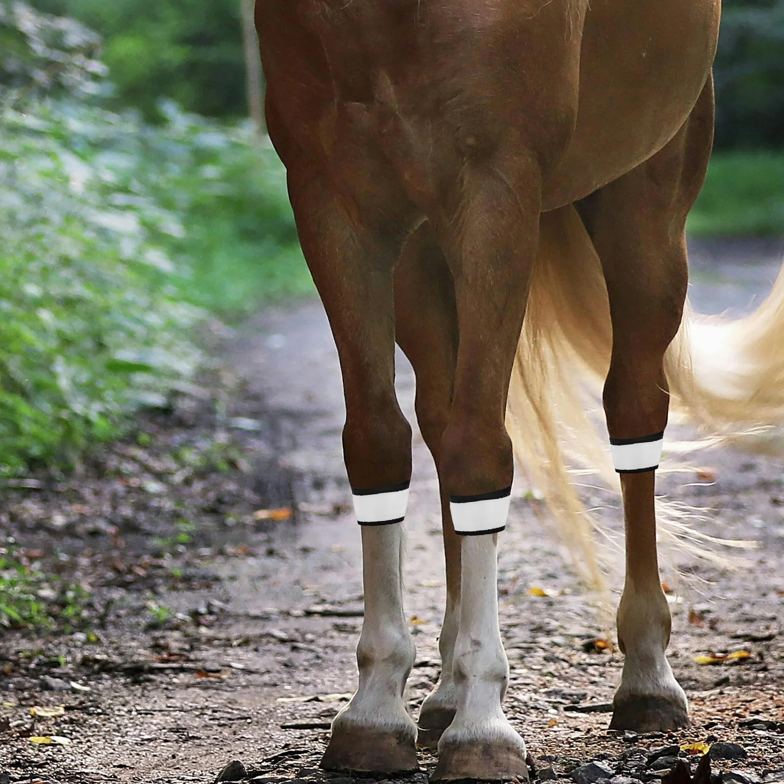 

4pcs LED Horse Leg Bright Lighting Ankle Straps Reflective Riding Gear Green Color Durable Comfort Fit Lightweight Outdoor