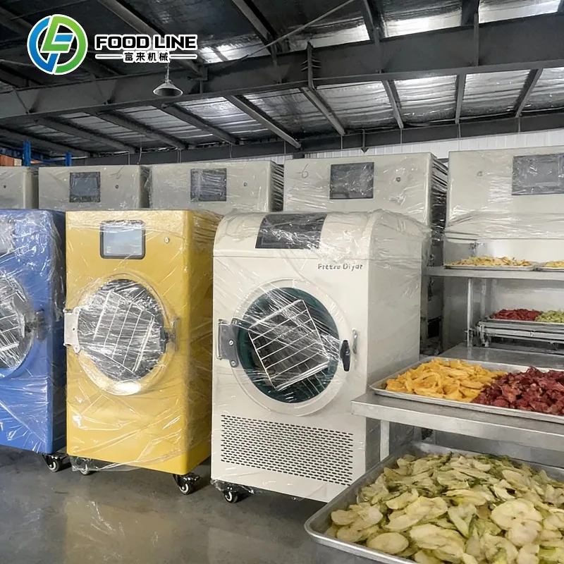 Custom made Freeze Dryer for Home Freeze Dryer for Tea Fruit Freeze Drying Machine