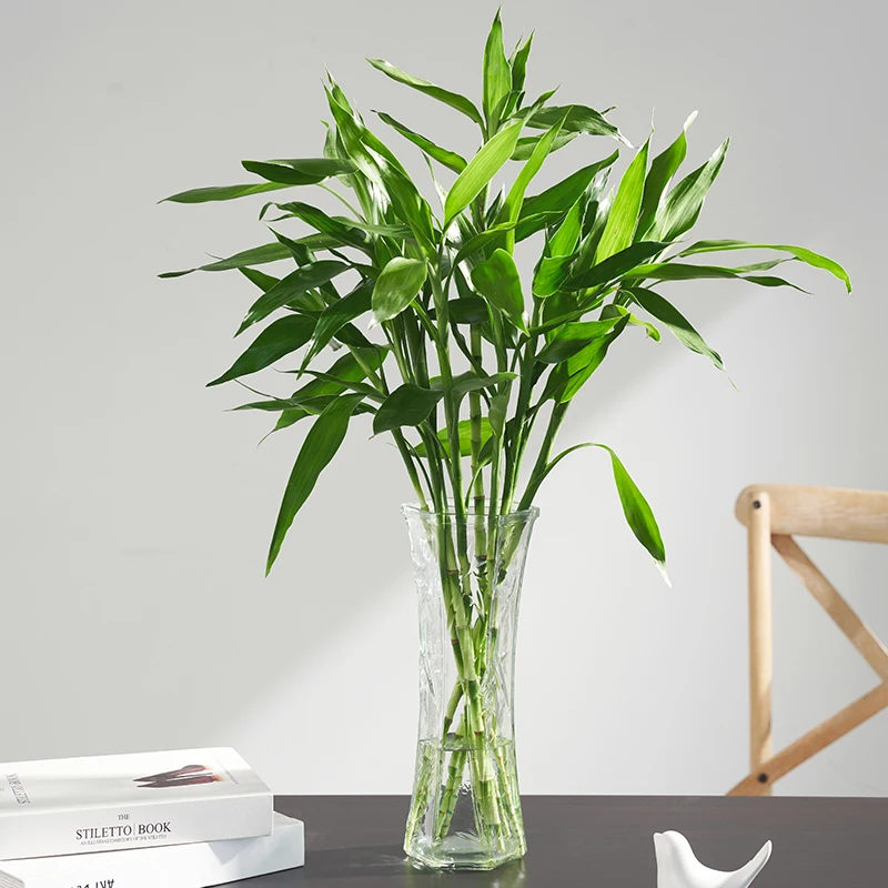 Transforming Your Sanctuary: A Gardener's Guide to the Large Transparent Glass Vase