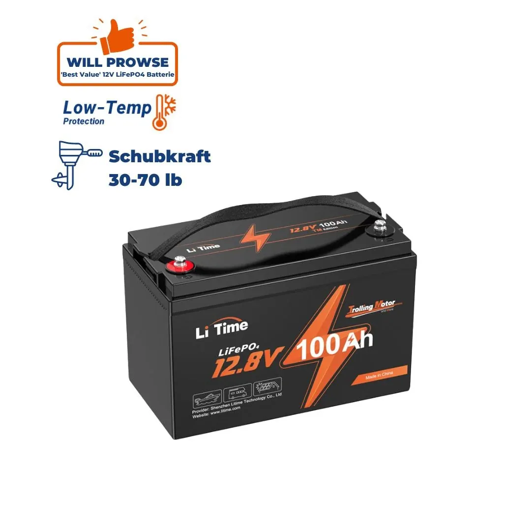LiTime 12V 100Ah LiFePO4-batterij met bescherming tegen lage temperaturen, 4000-15000 diepe cycli voor elektromotoren, campers en zonne-energiesystemen