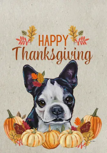 Boston Terrier Hippie Hound Studios Happy Thanksgiving Flag