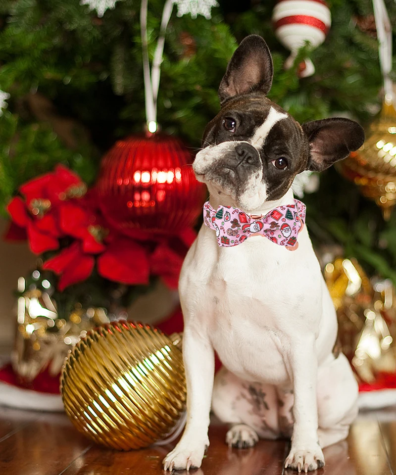 Unique Style Paws Christmas Dog Collar with Bow Pink Santa Claus Dog Collar Cute Puppy Necklace for Large Medium Small Dog