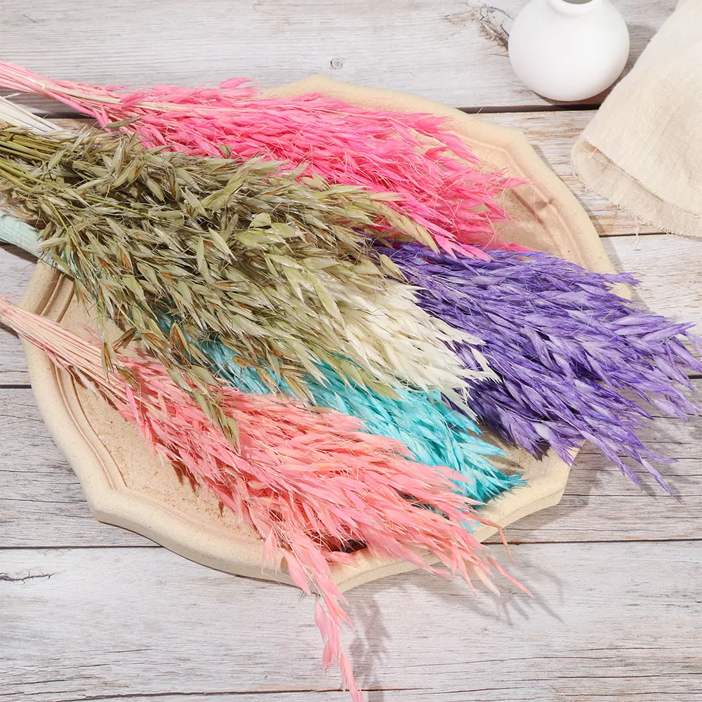 25/50PCS  Real Wheat Ear Flower Decoration Natural Dried Flowers Bouquets Photo Props Party Decoration