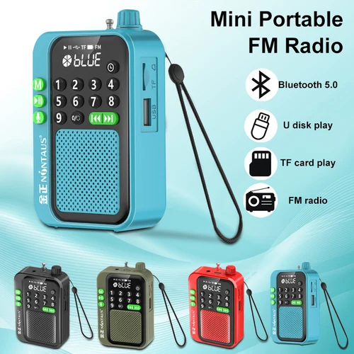 Imagen 2 del producto Mini Radio FM portátil, los mejores Radios de recepción, altavoz inalámbrico Bluetooth de 5W, tarjeta TF, disco U, reproductor de música MP3, compatible con grabación HD
