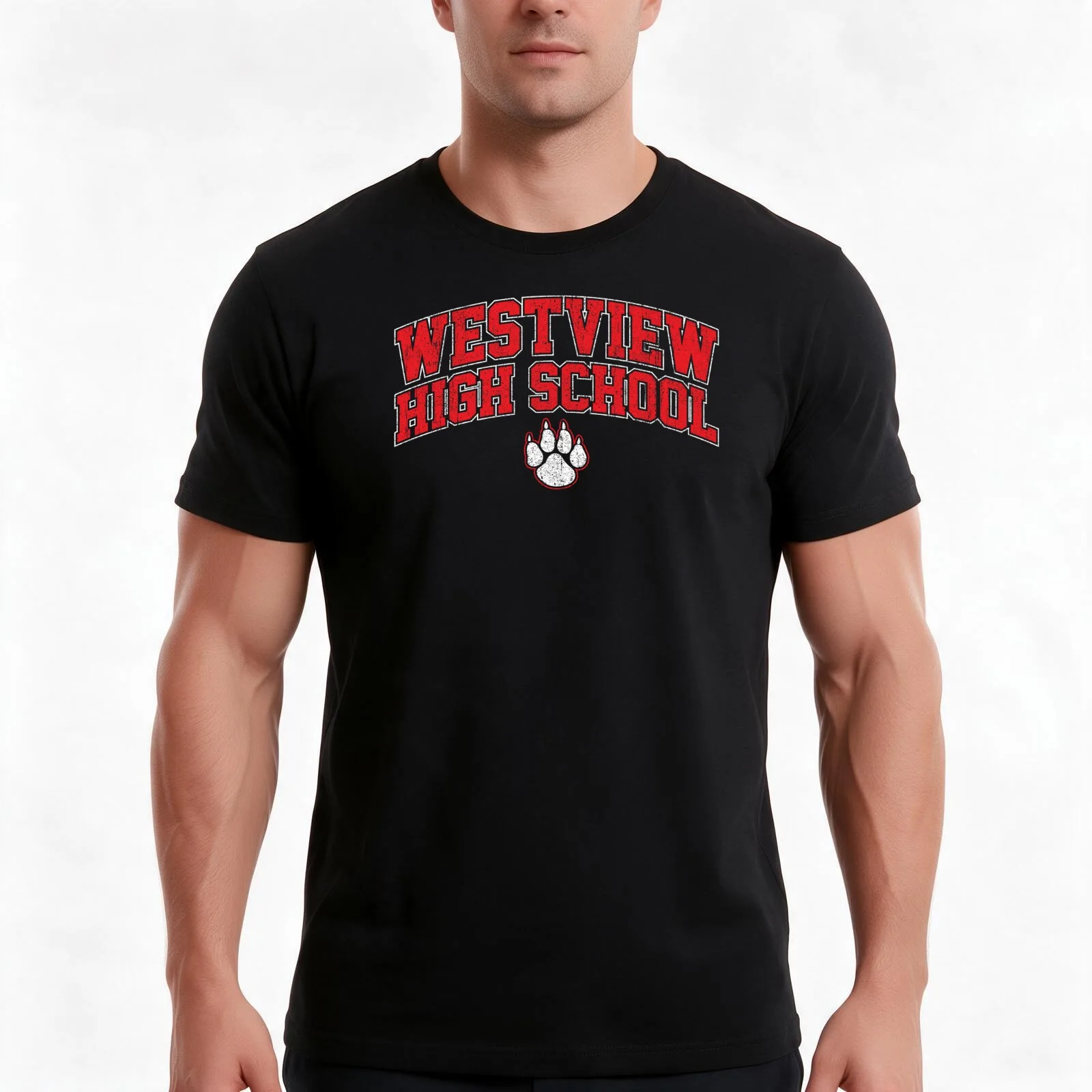 Westview High School - Dear Evan Hansen T-Shirt Summer Casual Cotton Tee Oversized Streetwear Tops Vintage Graphic Print