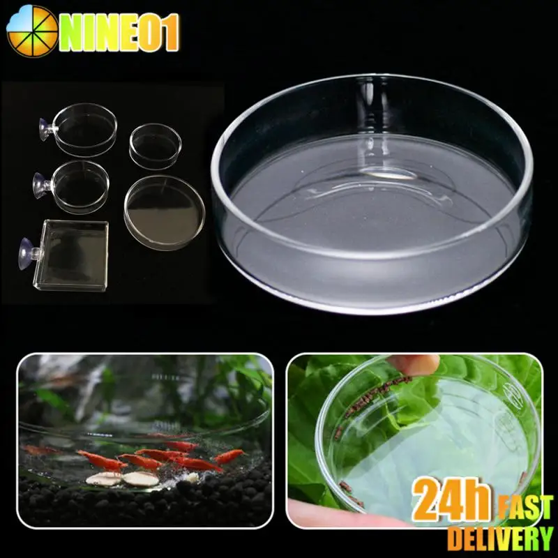 Aquarium Shrimp Food Feeding Circle Feeder Transparent Acrylic Fish Tank Floating Bottom Feeder Fish Shrimp With Suction Cup