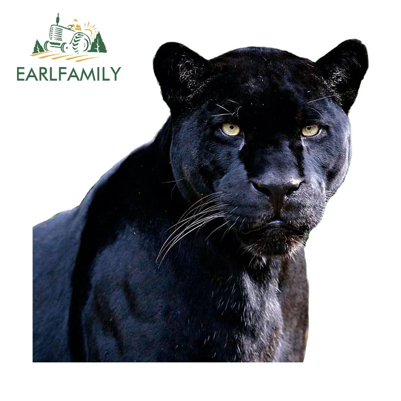 

EARLFAMILY 13 см x 12,5 см, наклейка на автомобиль с изображением Черной пантеры, сгорающей в глазах, водонепроницаемая, устойчивая к царапинам, оригинальная наклейка на бампер, для автофургонов