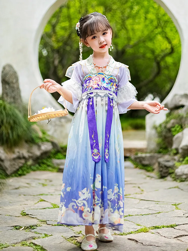 

Children Purple Floral Embroidery Hanfu Traditional Chinese Style Costumes Stage Dress Dance National Hanfu