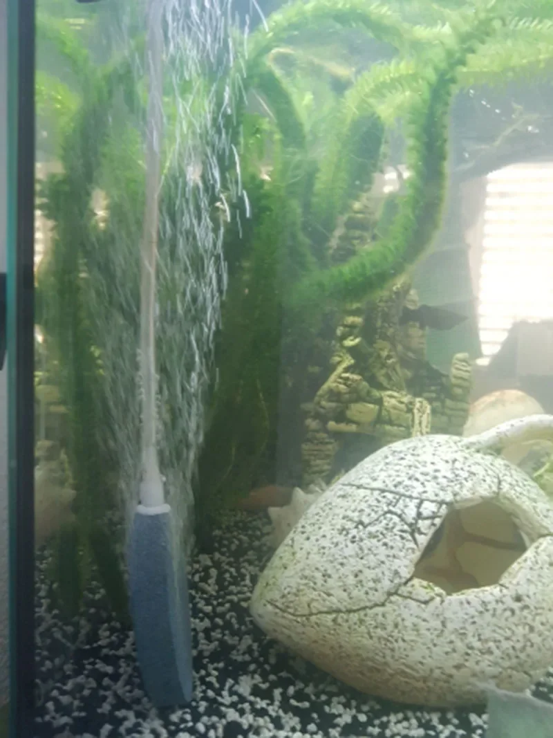 1 Stück 40/50/60/70/80/100mm Belüftungsstein für Aquarium Fischbeckenpumpe Hydroponische Sauerstoffplatte Mini-Luftpumpenzubehör – Detail 23