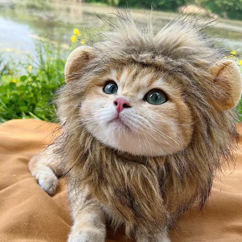 Cute Lion Mane Cat Wig Hat Funny Pets Clothes Cap Fancy Party Dogs Cosplay Costume Kitten Hat with Ears Accessories Cat Costume