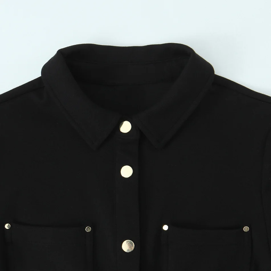 Autumn Long Sleeve Pleated Slim Fit Shirt Dress Women's Elastic Mini Skirt Elegant Style Single Button Turn-down Collar