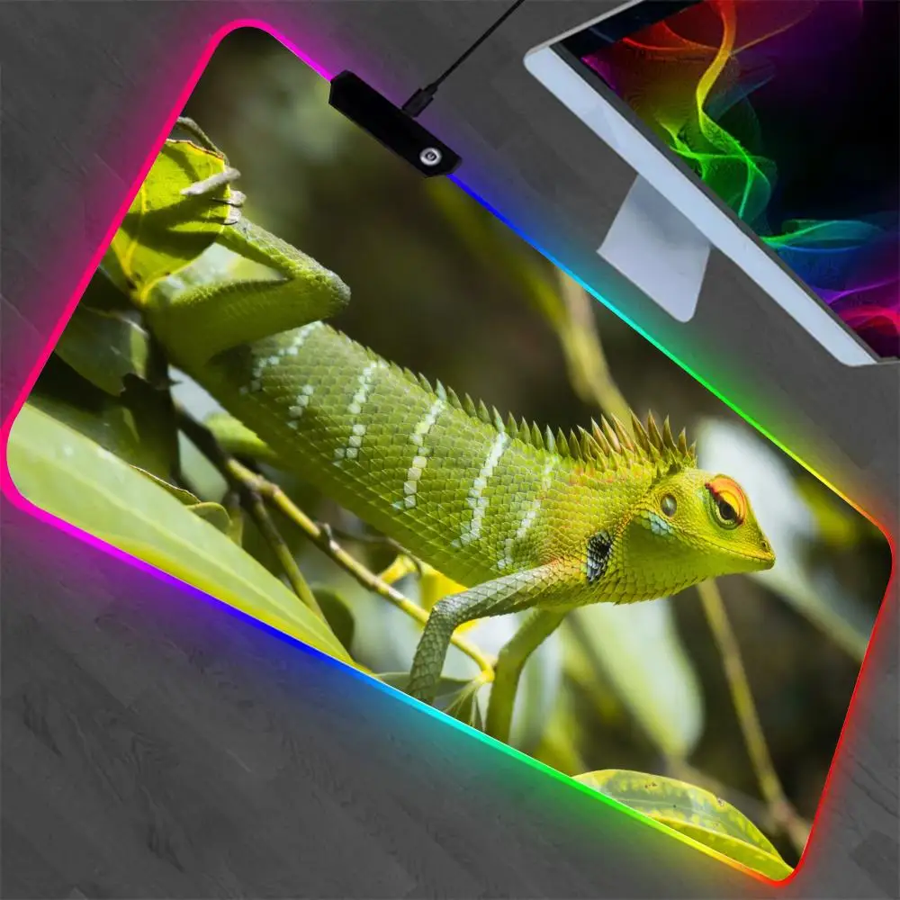 

lizard rainforest grassland desert Mouse Pad XXL RGB Gaming Mouse Pad Gamer Accessories Large LED Light MousePads PC