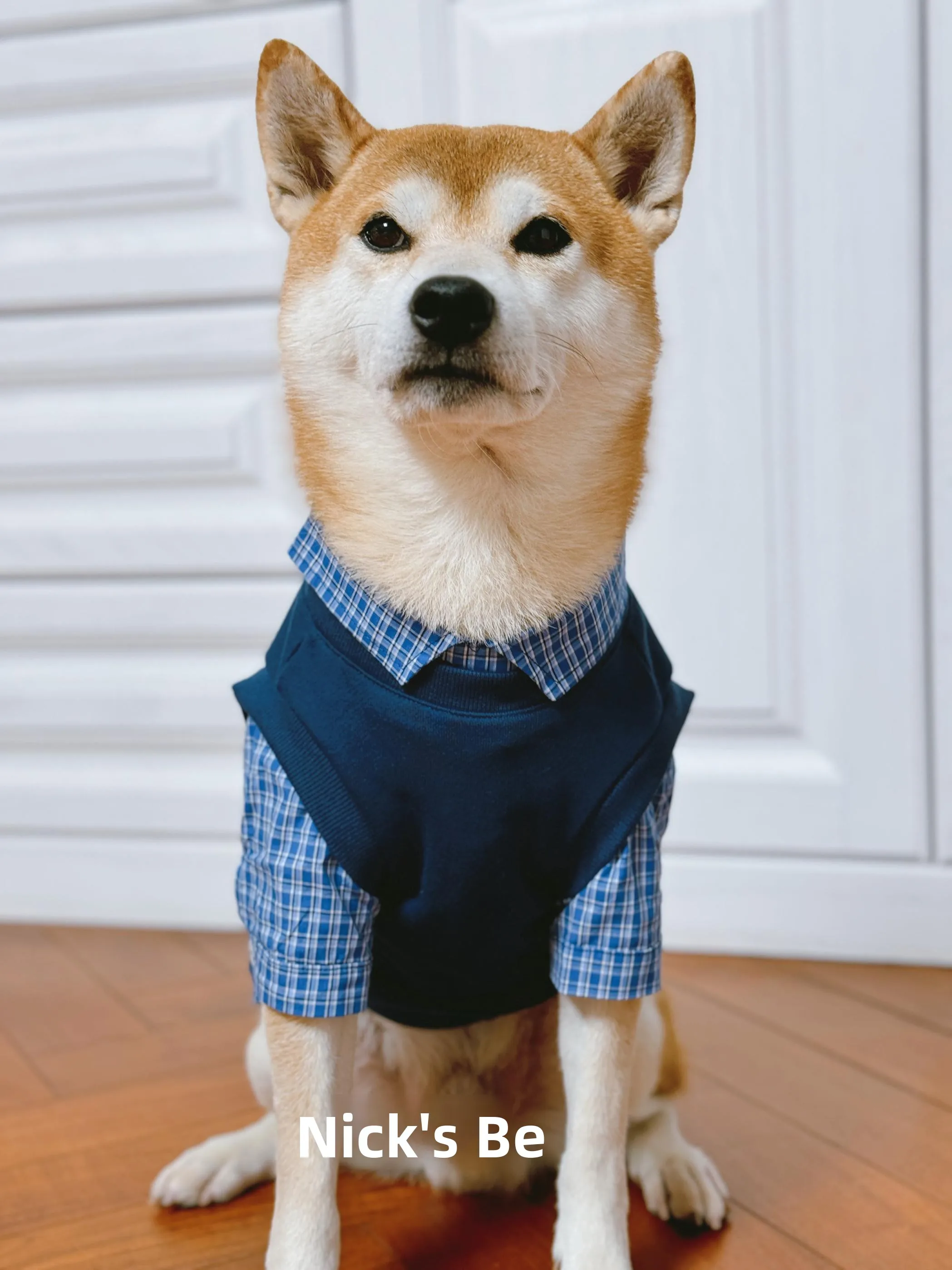 

Ni's Pet Clothing Plu Lined Cotton Hoodie for Dogs And s Autumn Winter Warm Casual Sle round Ne Sweatirt Beagles...