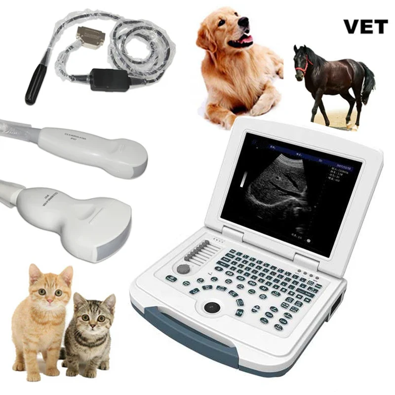 Huge Selection Veterinary Medical Equipment 8 GB Storage LED Screen Cattle Pregnancy Ultrasound Machine For Cattle Use