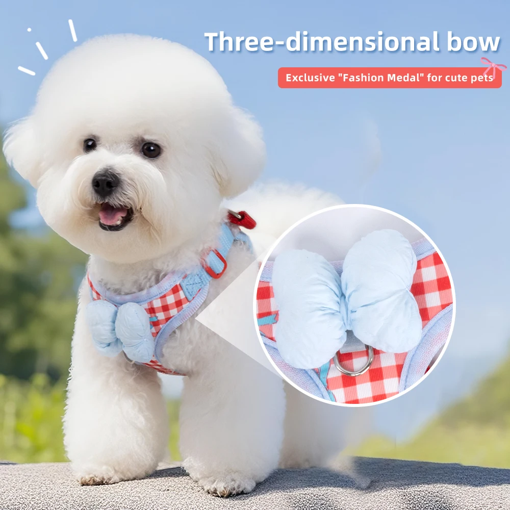 Thumbnail 3 - #56 Budget Puppy Leads for Smart Shoppers