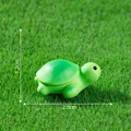 10pcs Turtle
