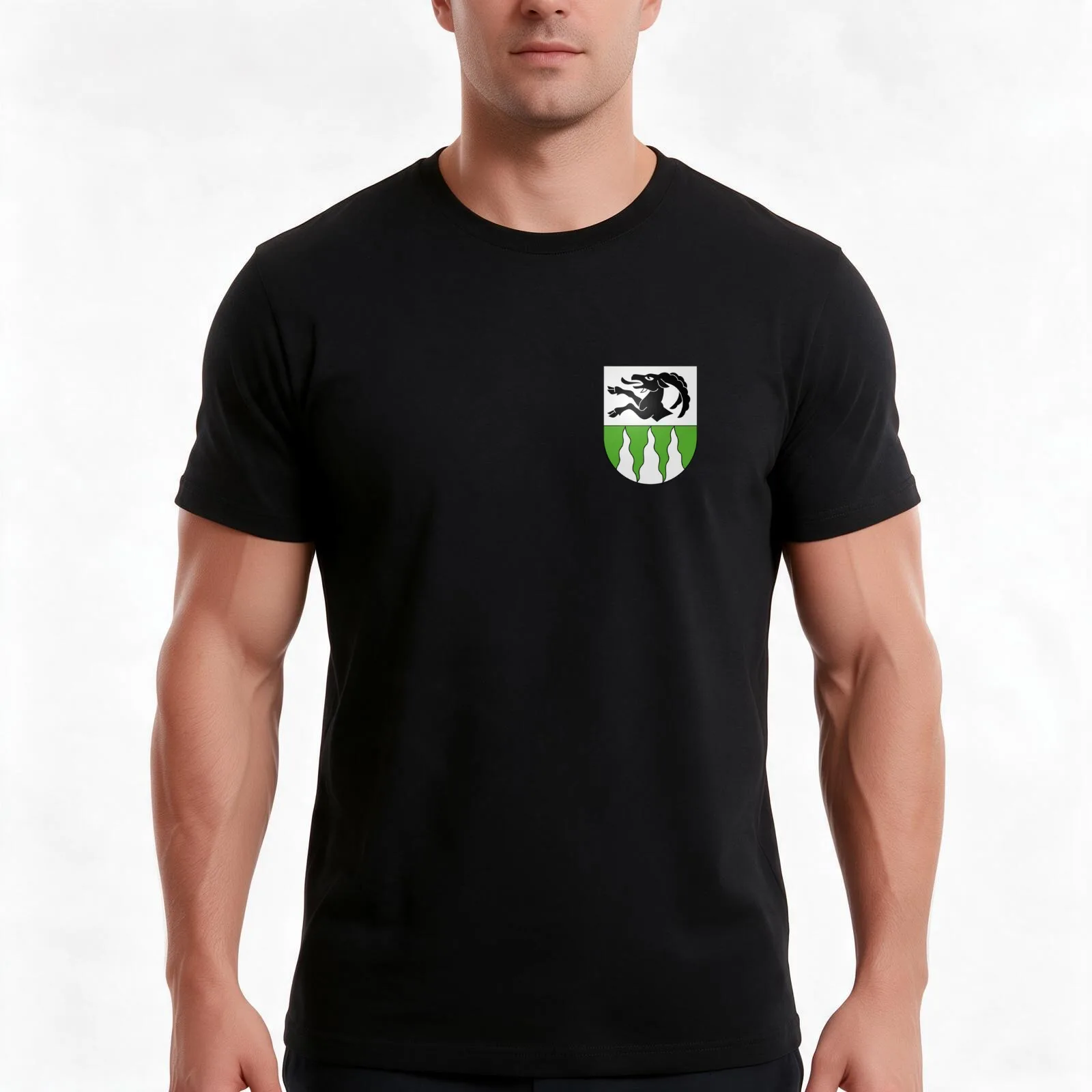 Municipal coat of arms Lauterbrunnen T-Shirt, Summer Casual Cotton Tee, Oversized Streetwear Tops, Vintage Graphic Print
