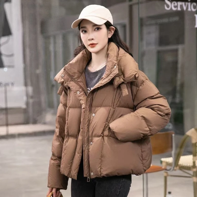 Women's Thick Loose Warm Snow Puffer Coats, Casual Jacket, Trendy Outerwears, Stand-up Collar, Korean, Simple, Winter