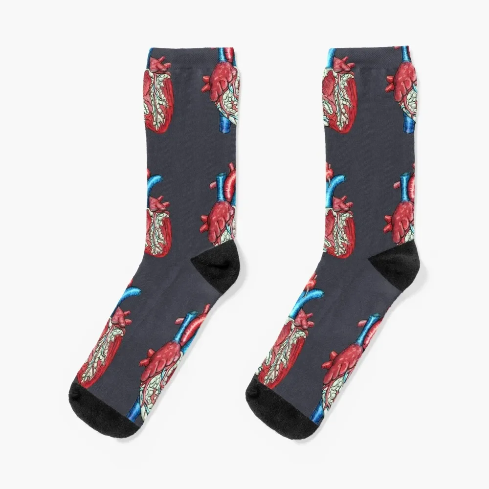 

Anatomical human heart Socks sports stockings valentine gift ideas Toe sports Socks For Men Women's