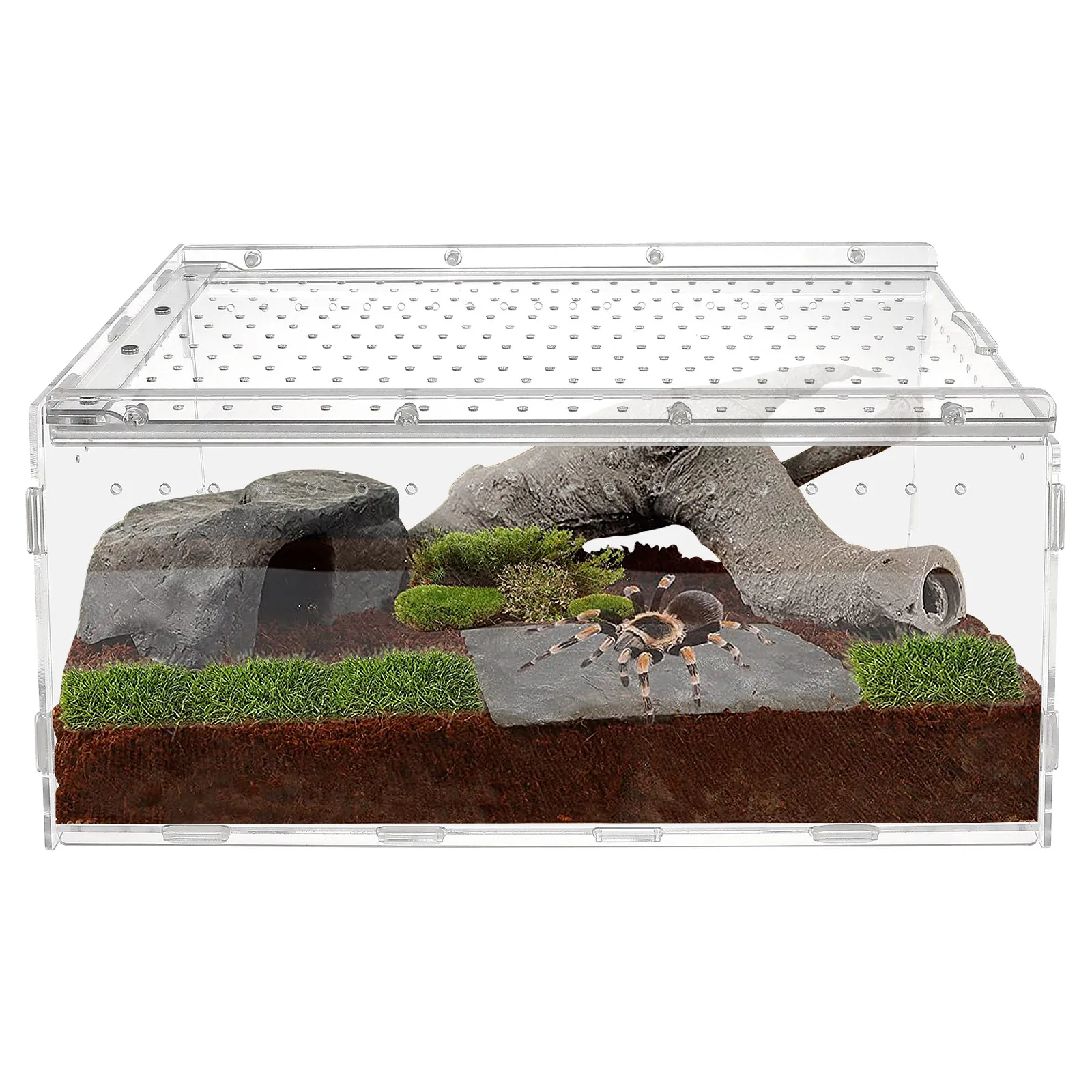 

Transparent Reptile Box Breeding Cage Safe Closure Reptile Habitat Terrarium Lizard Gecko Snake Feeding Pet