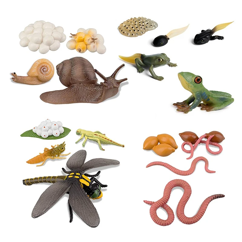 HOT-Life Cycle Of Frog Snail Earthworm Dragonfly, Egg Tadpole To Frog Safariology Amphibian Figurinestoy Kit, School Project