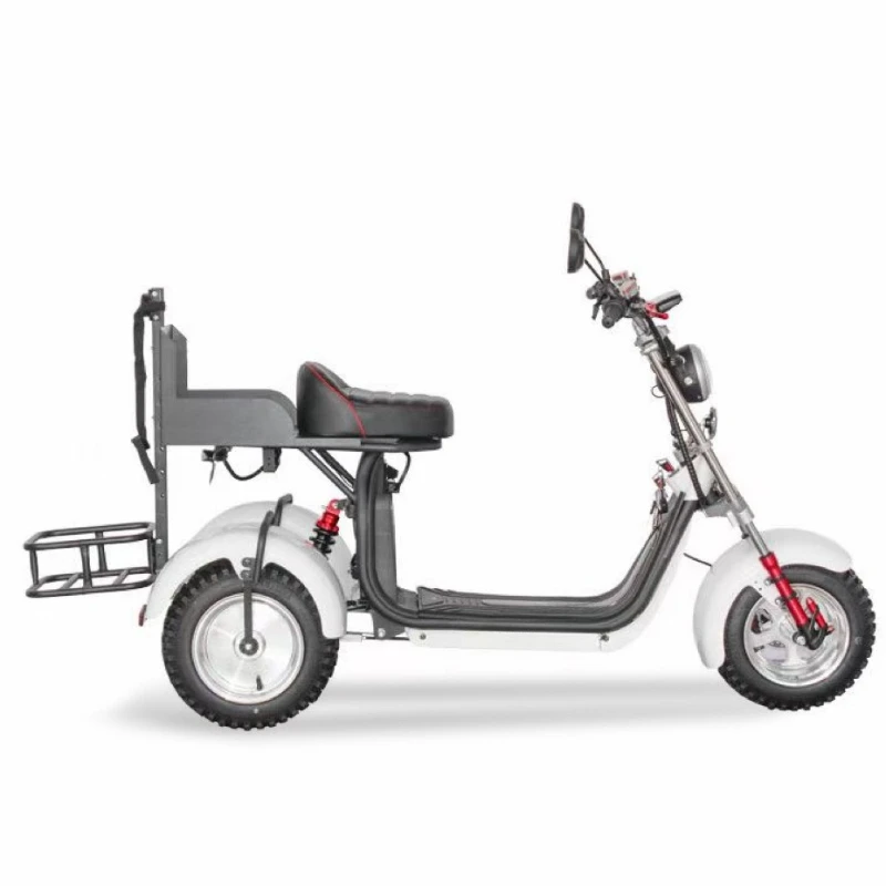 

electric vehicle
