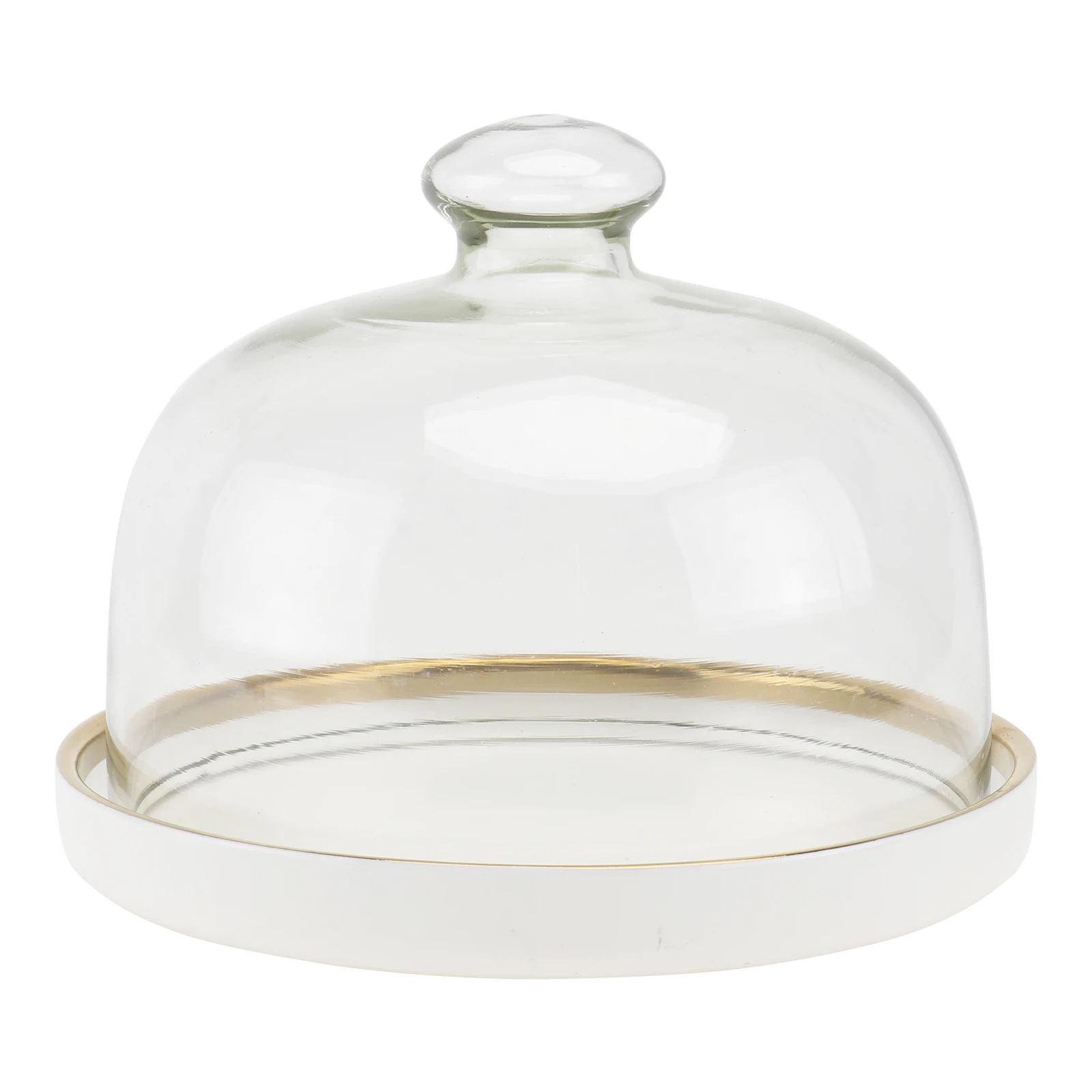 

1Set Transparent Cover with Tray Ceramic Plate Set for Grilled Veggies Cake Dessert Bbq Picnic Use Food Cover Ceramic Tray